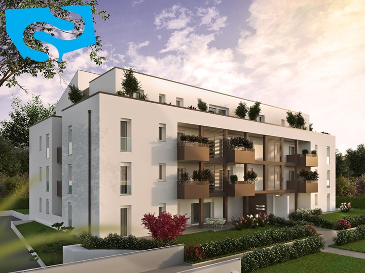 Cantiere CT50