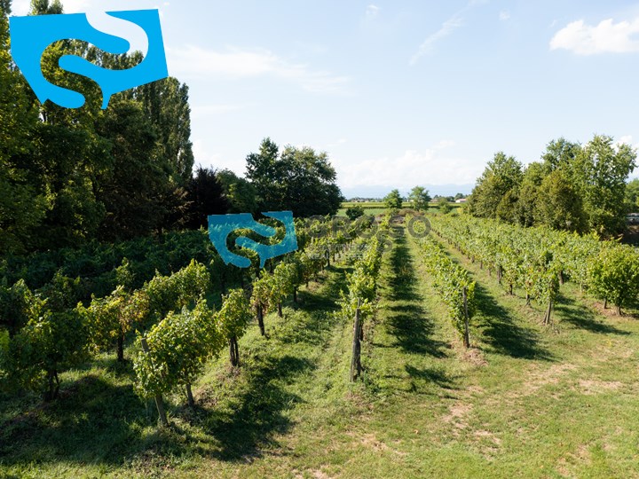 Terreni a Musile di Piave